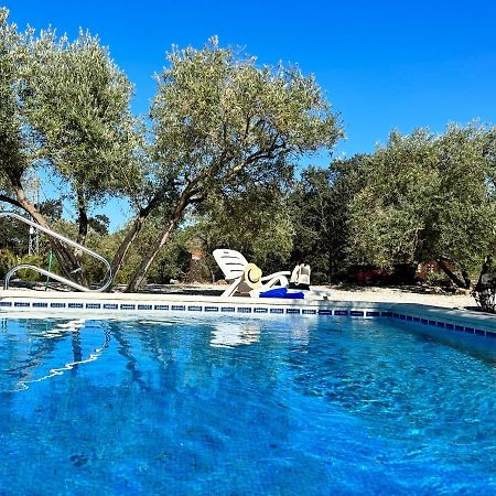 Refugio Andaluz Con Piscina Entre Olivos Villanueva de Tapia Eksteriør bilde