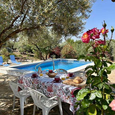 Refugio Andaluz Con Piscina Entre Olivos Villanueva de Tapia Eksteriør bilde