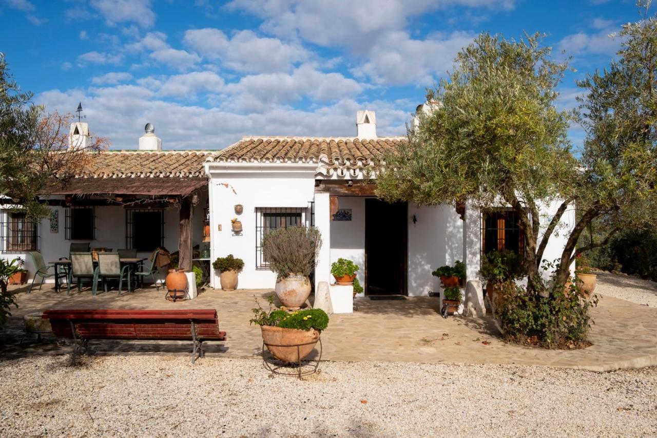 Refugio Andaluz Con Piscina Entre Olivos Villanueva de Tapia Eksteriør bilde