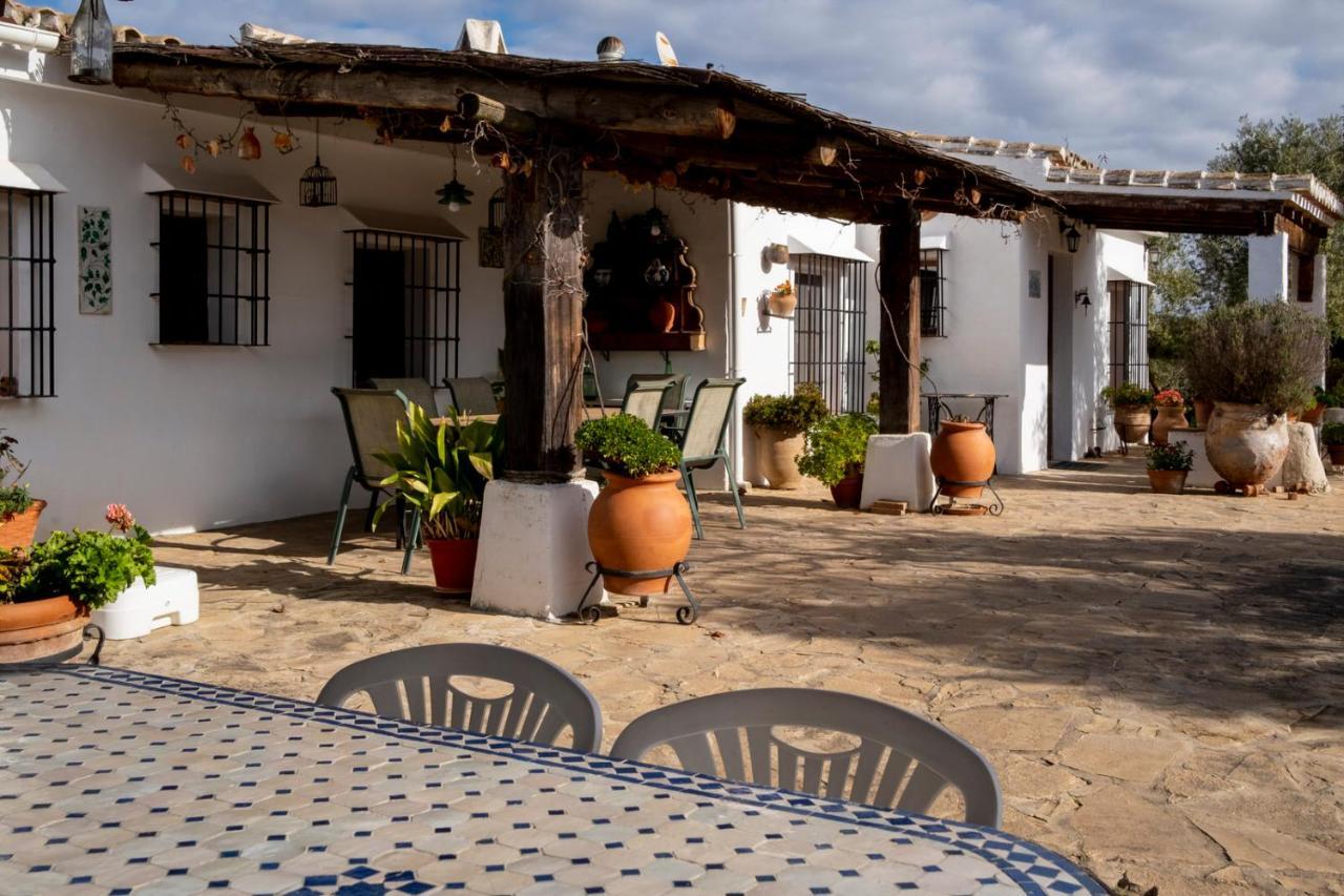 Refugio Andaluz Con Piscina Entre Olivos Villanueva de Tapia Eksteriør bilde