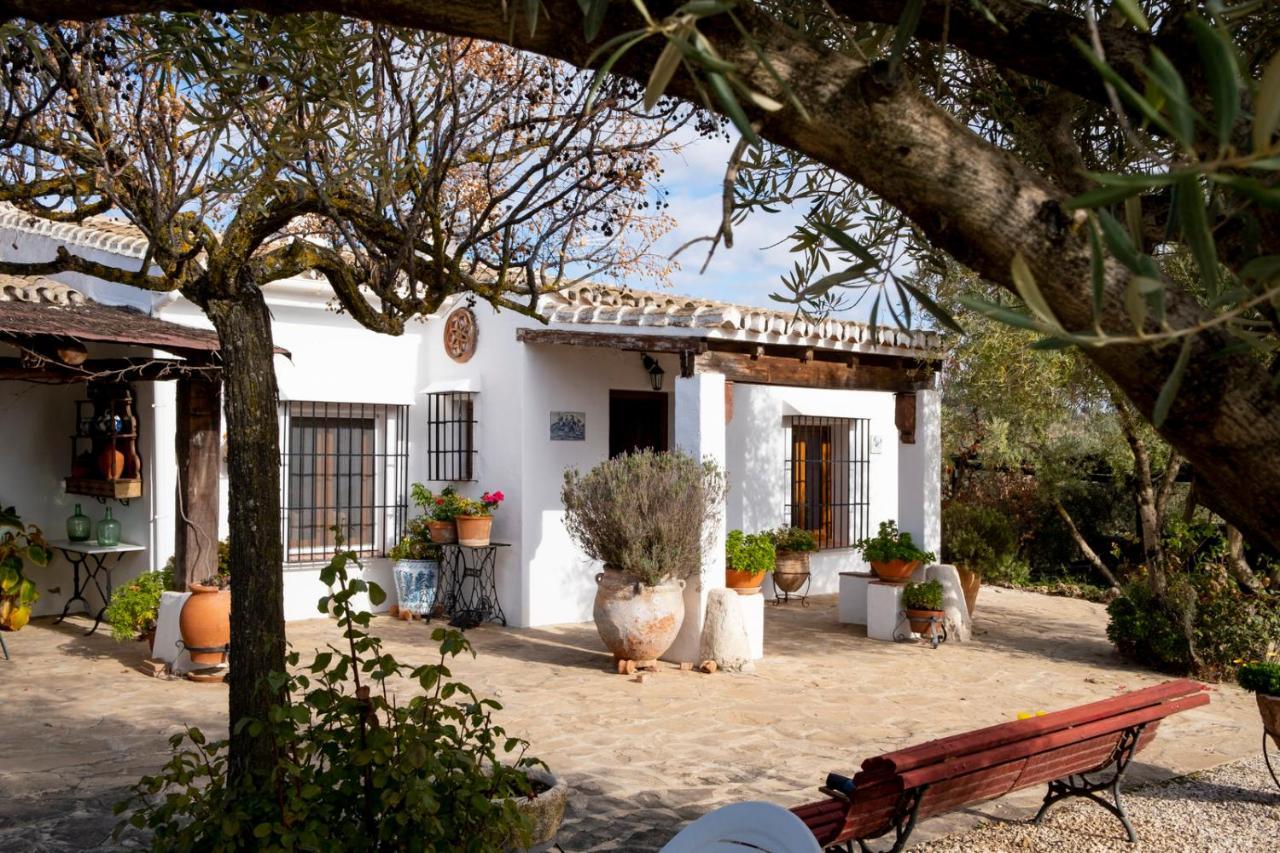 Refugio Andaluz Con Piscina Entre Olivos Villanueva de Tapia Eksteriør bilde