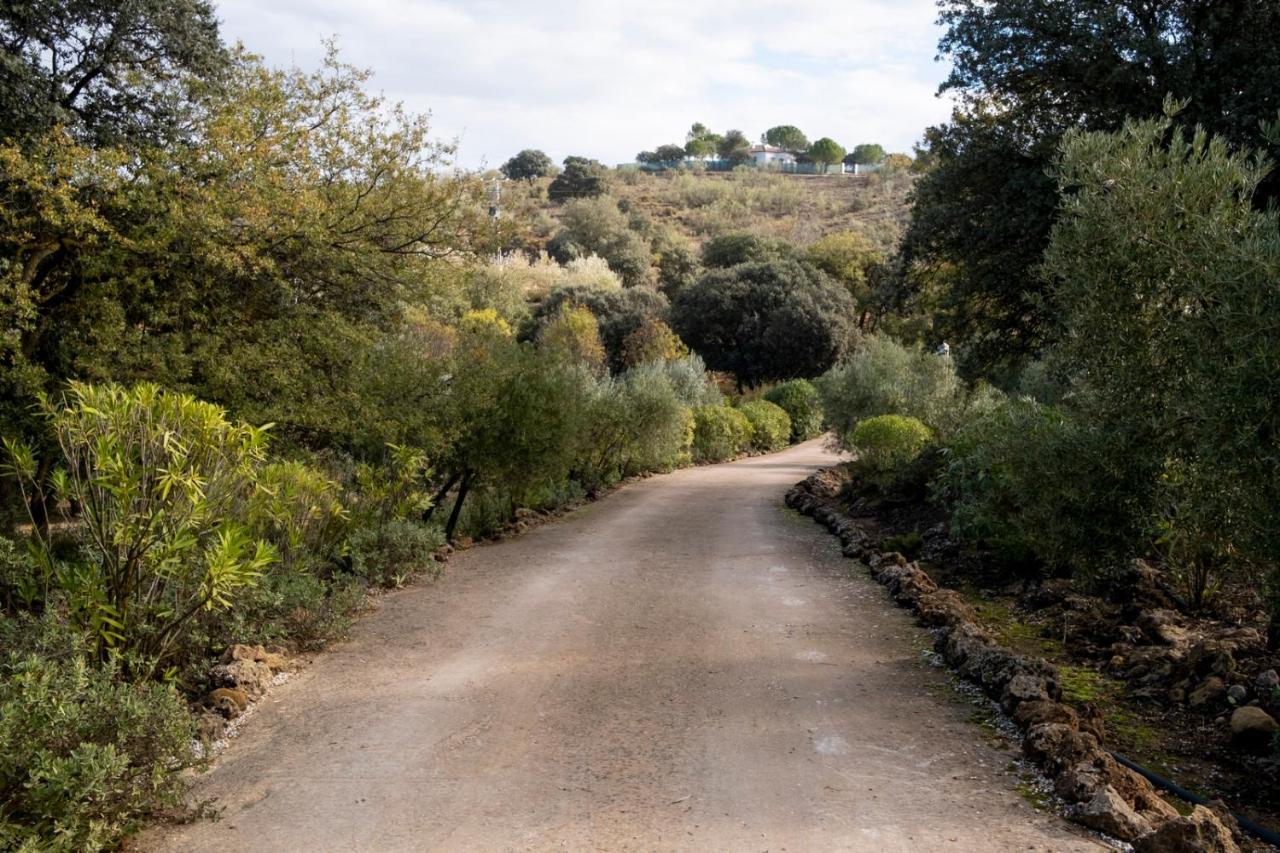 Refugio Andaluz Con Piscina Entre Olivos Villanueva de Tapia Eksteriør bilde