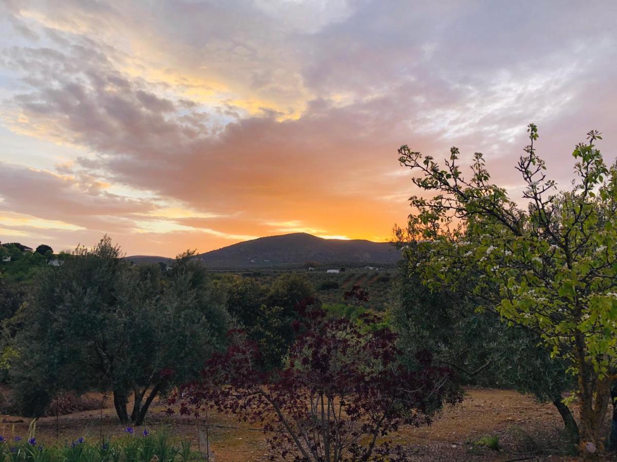 Refugio Andaluz Con Piscina Entre Olivos Villanueva de Tapia Eksteriør bilde
