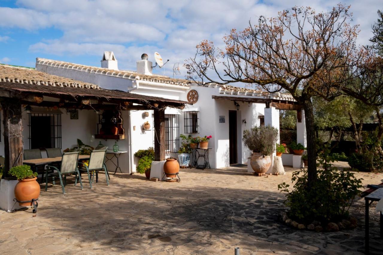 Refugio Andaluz Con Piscina Entre Olivos Villanueva de Tapia Eksteriør bilde
