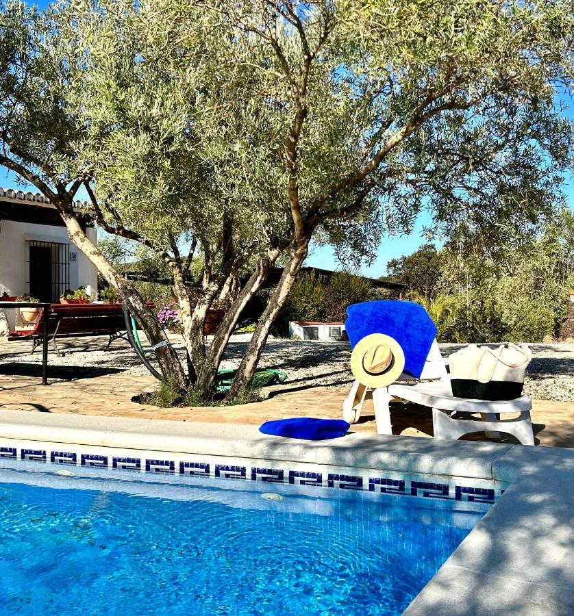 Refugio Andaluz Con Piscina Entre Olivos Villanueva de Tapia Eksteriør bilde