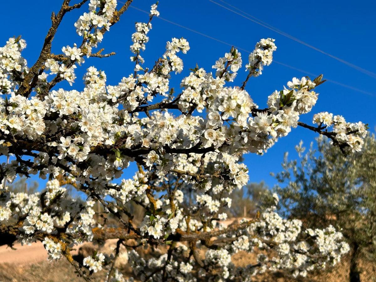 Refugio Andaluz Con Piscina Entre Olivos Villanueva de Tapia Eksteriør bilde