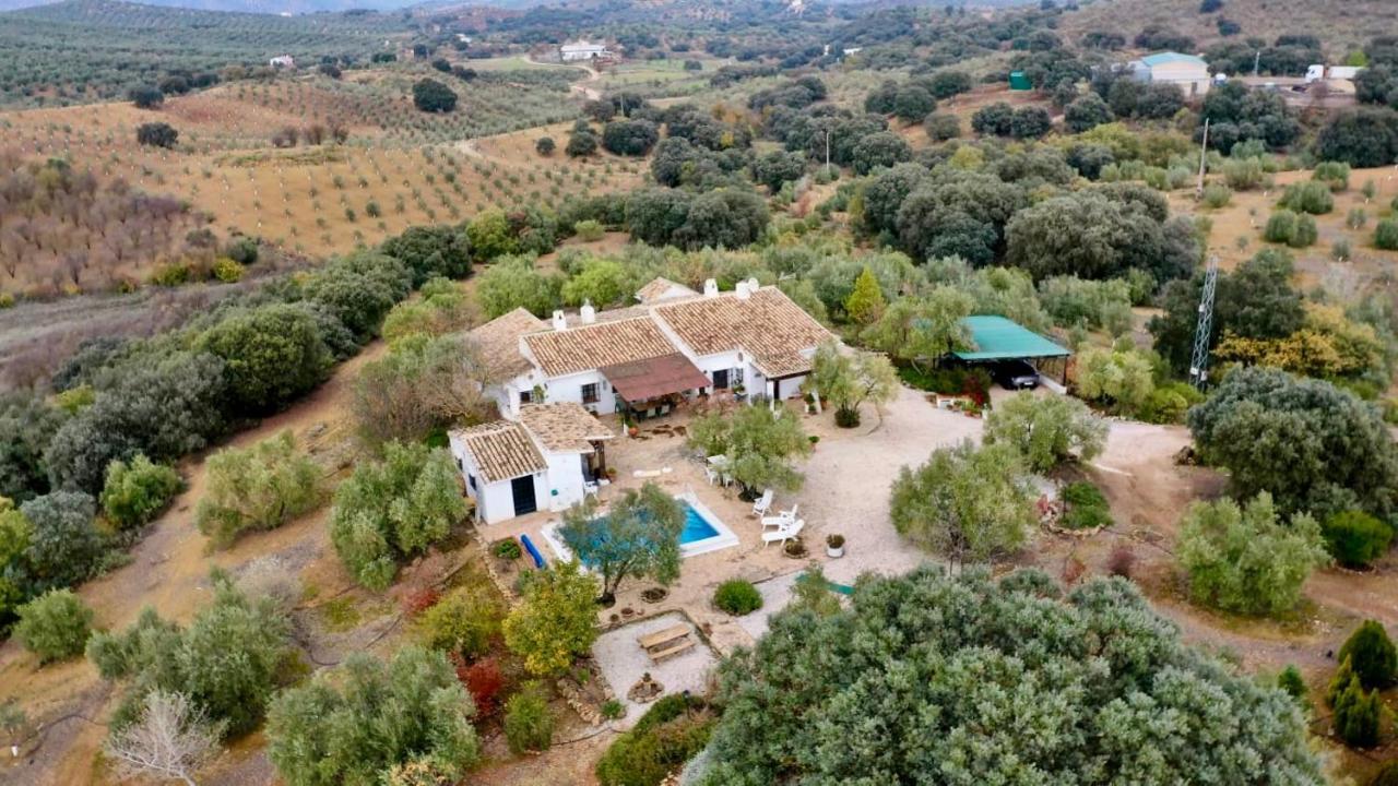 Refugio Andaluz Con Piscina Entre Olivos Villanueva de Tapia Eksteriør bilde