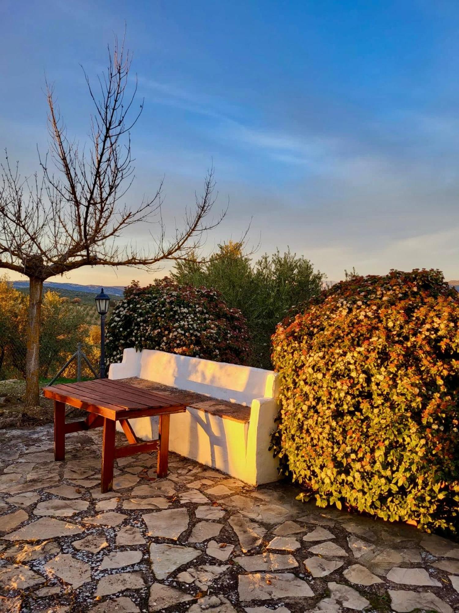 Refugio Andaluz Con Piscina Entre Olivos Villanueva de Tapia Eksteriør bilde