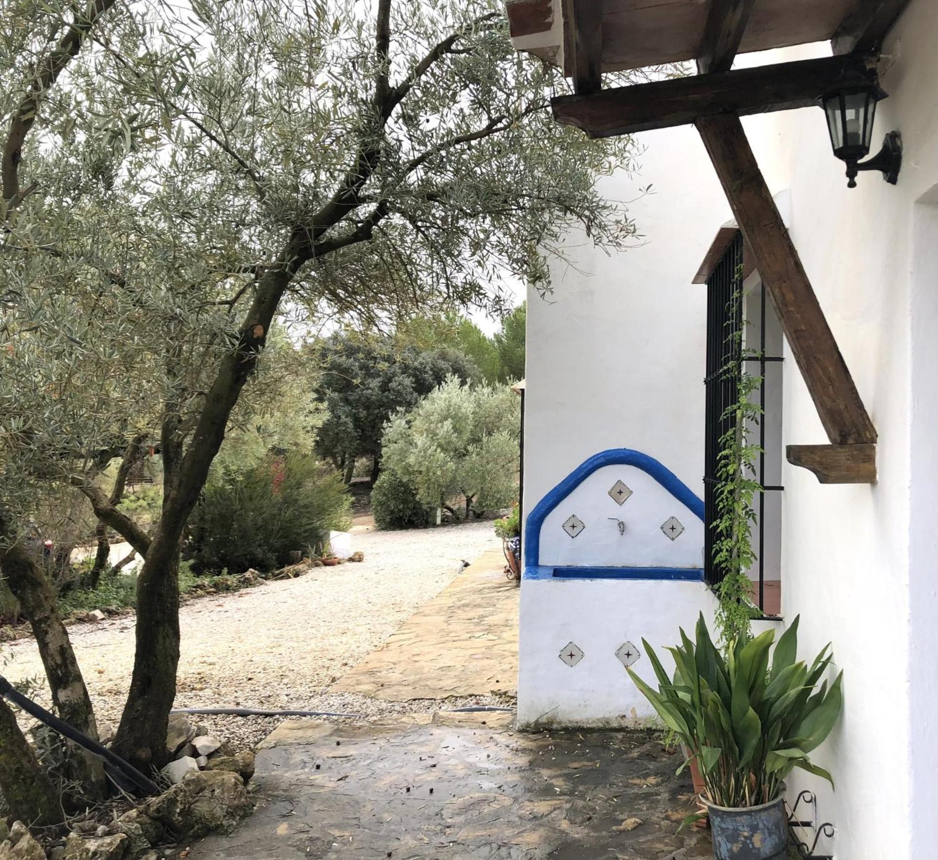 Refugio Andaluz Con Piscina Entre Olivos Villanueva de Tapia Eksteriør bilde