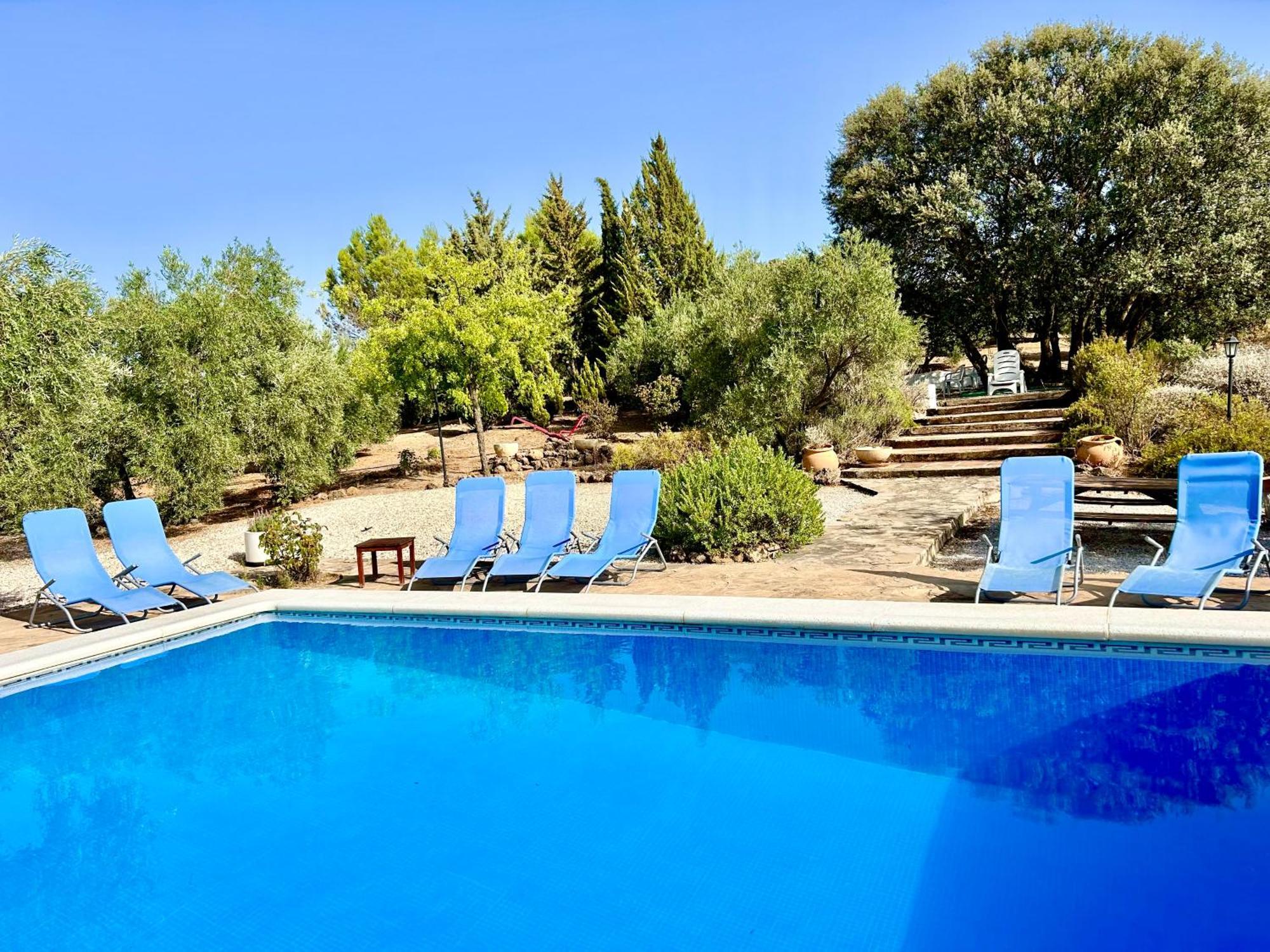 Refugio Andaluz Con Piscina Entre Olivos Villanueva de Tapia Eksteriør bilde